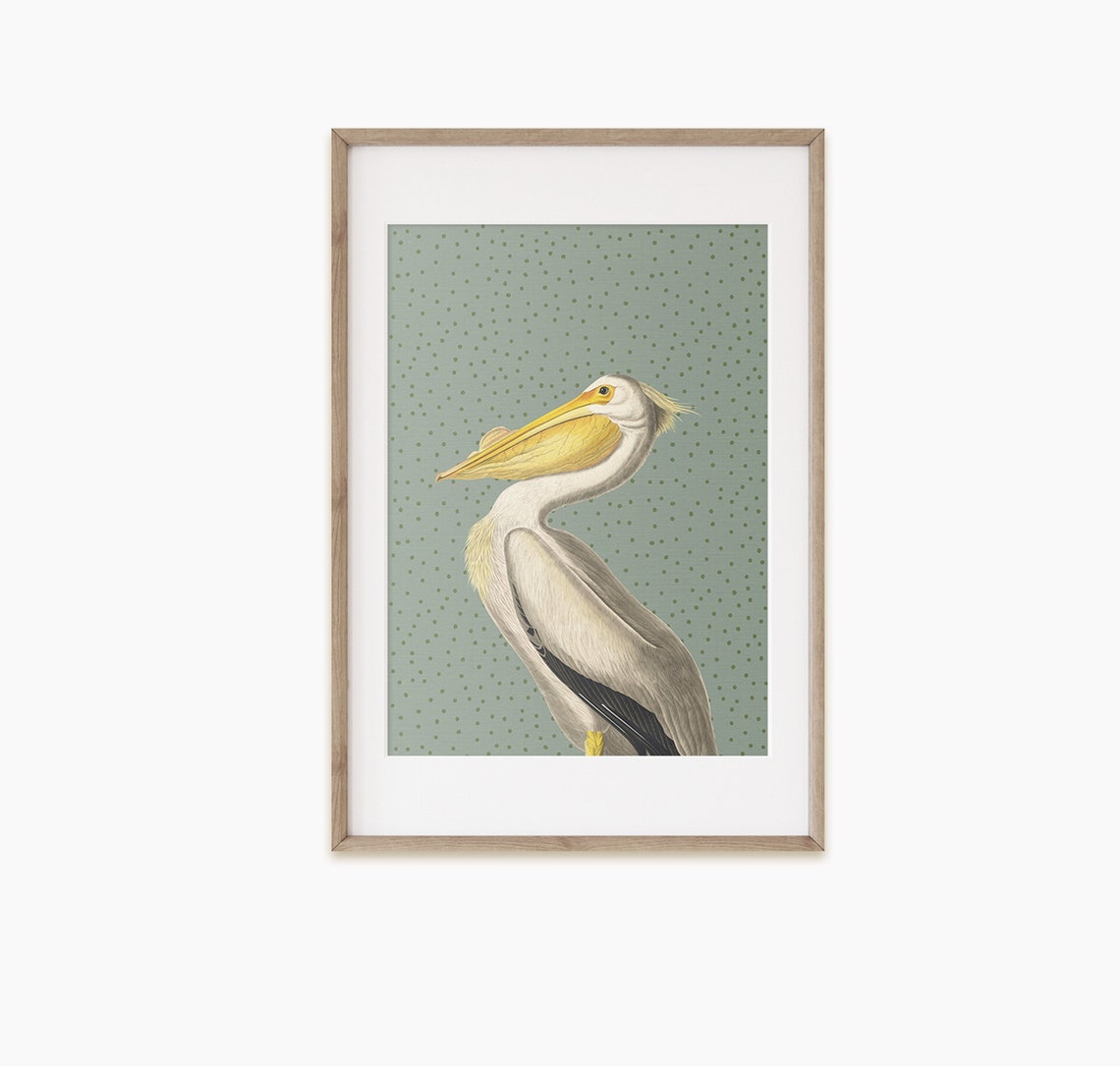 White Pelican Bird Sage Green Elegant Nature Illustration Poster Art
