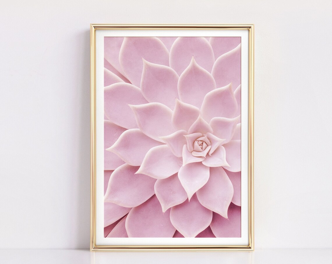 Pink Cactus Botanical Wall Art Print, Nature Decor