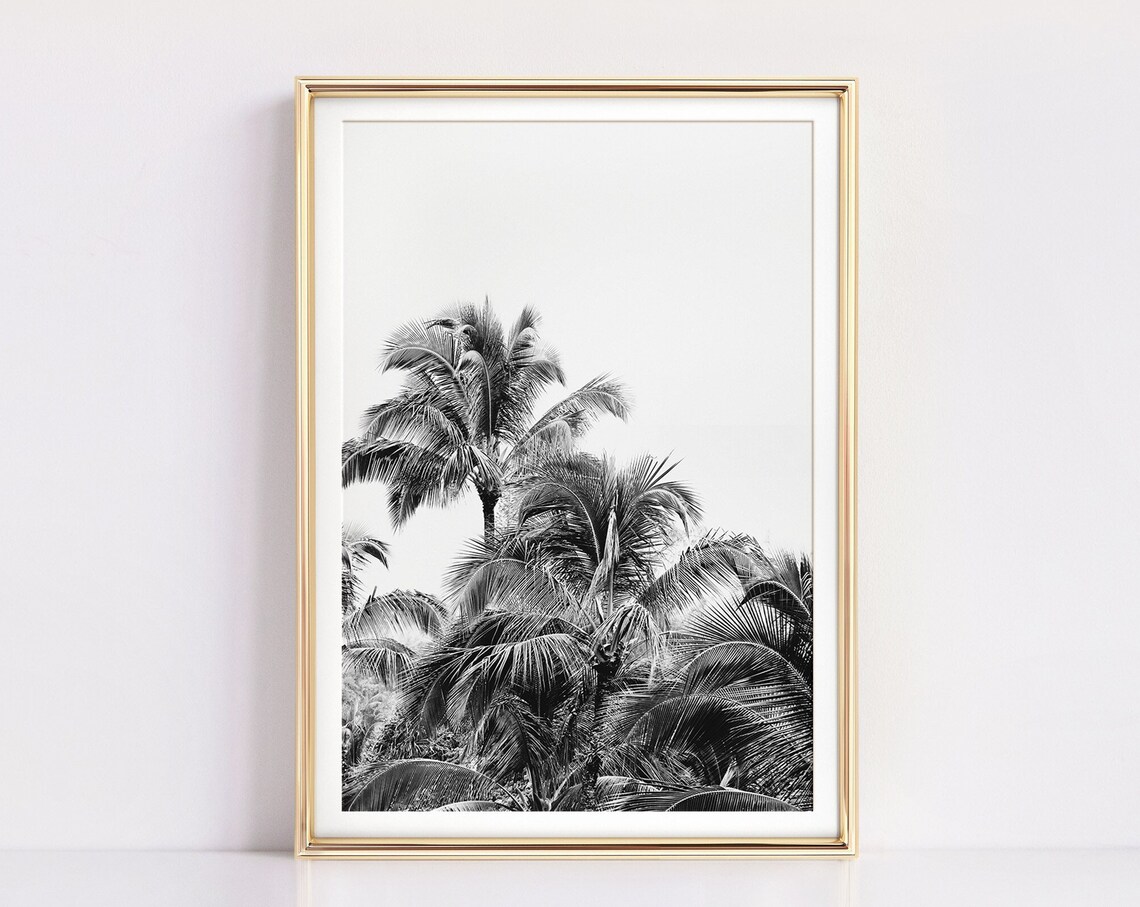 Palm Tree Tropical Hawaii Photography Art Print