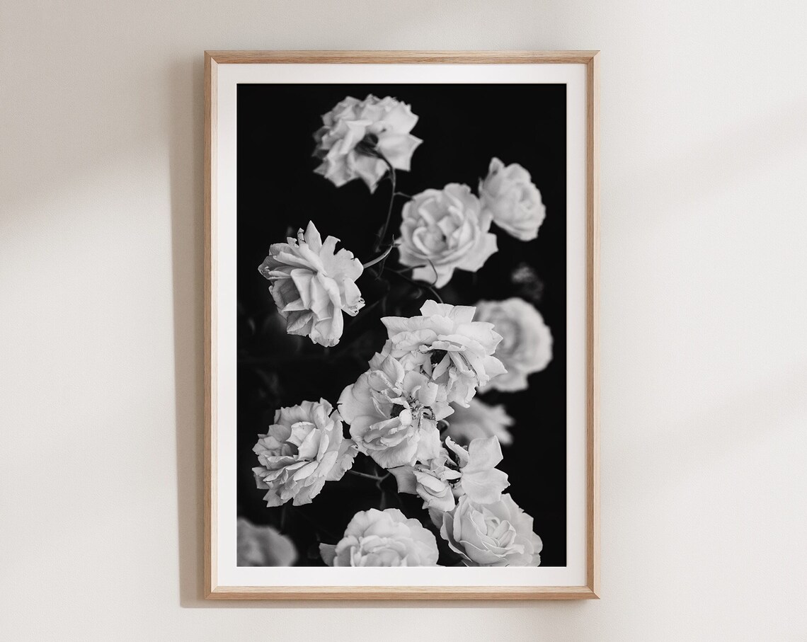 Boho Roses Black and White Botanical Art Print