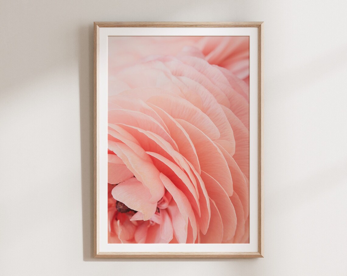 Pink Flower Botanical Art Print, Pastel Wall Decor
