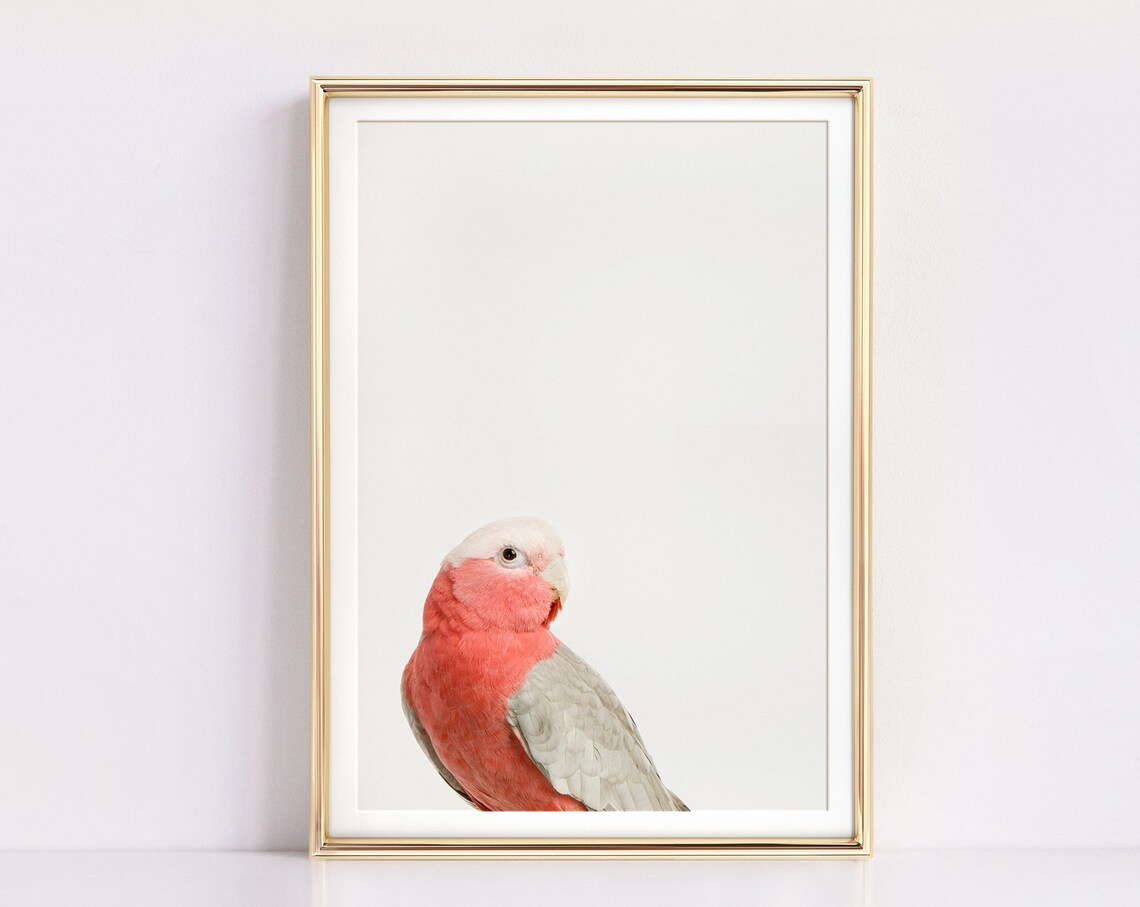 Pink Parrot Tropical Wall Art Print, Vertical Galah