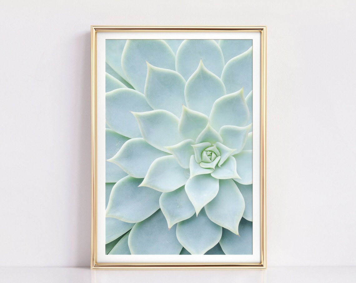 Cactus & Succulent Botanical Art Print, Pale Blue Modern