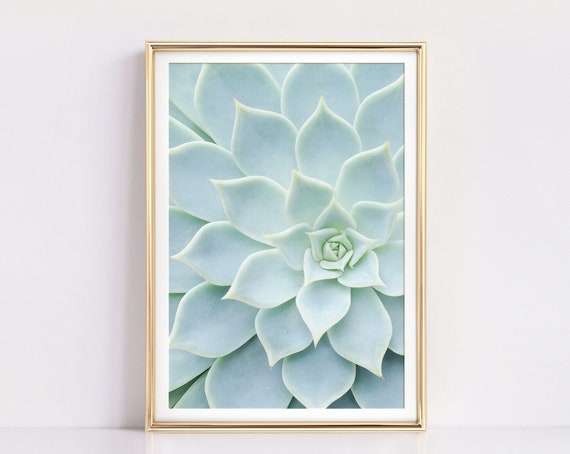 Cactus & Succulent Botanical Art Print, Pale Blue Modern