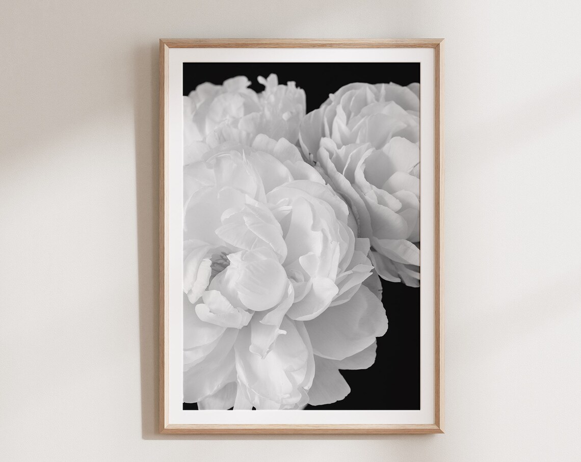 Black And White Peony Botanical Wall Art Print