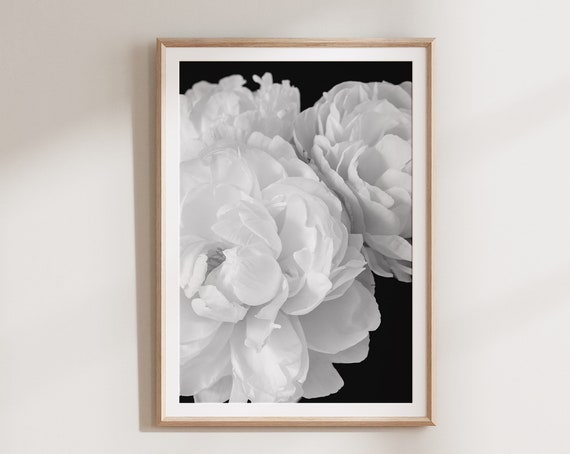 Black And White Peony Botanical Wall Art Print