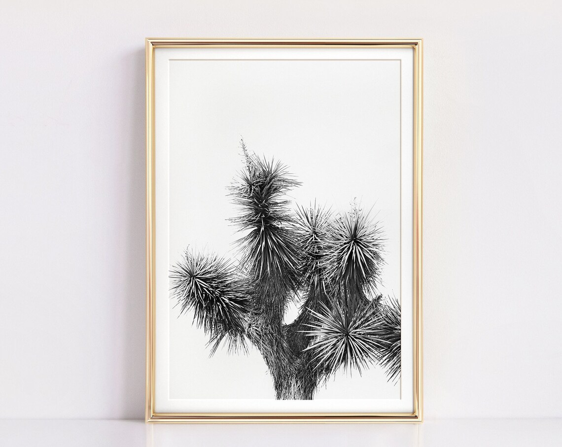 Joshua Tree Cactus Art Print, Black and White