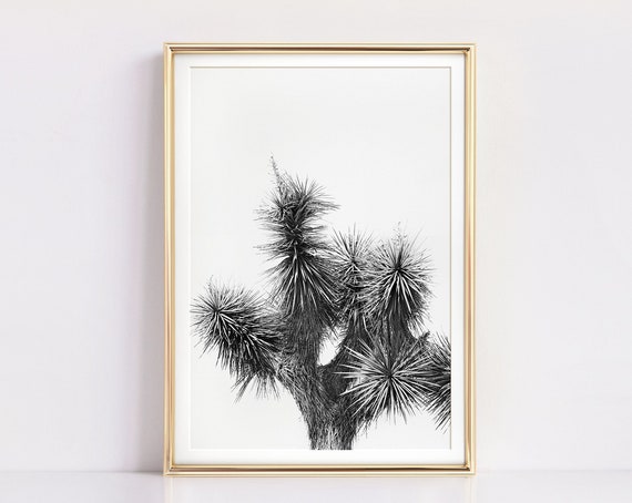 Joshua Tree Cactus Art Print, Black and White
