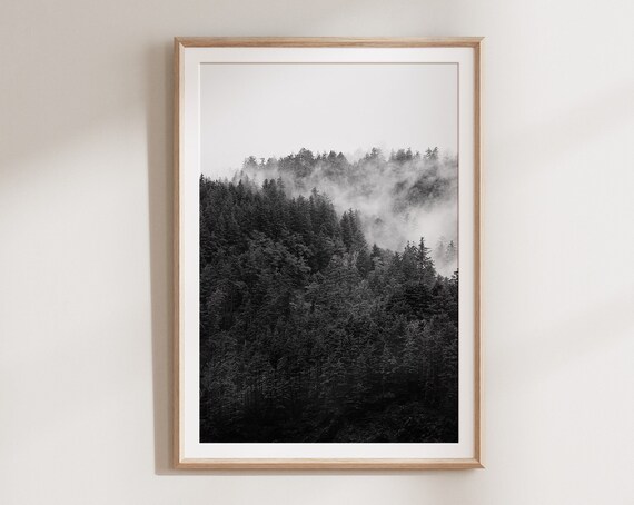 Black And White Wall Art Print Forest Print Scandinavian Art Prints Poster Minimalist Nature Print Forest Poster