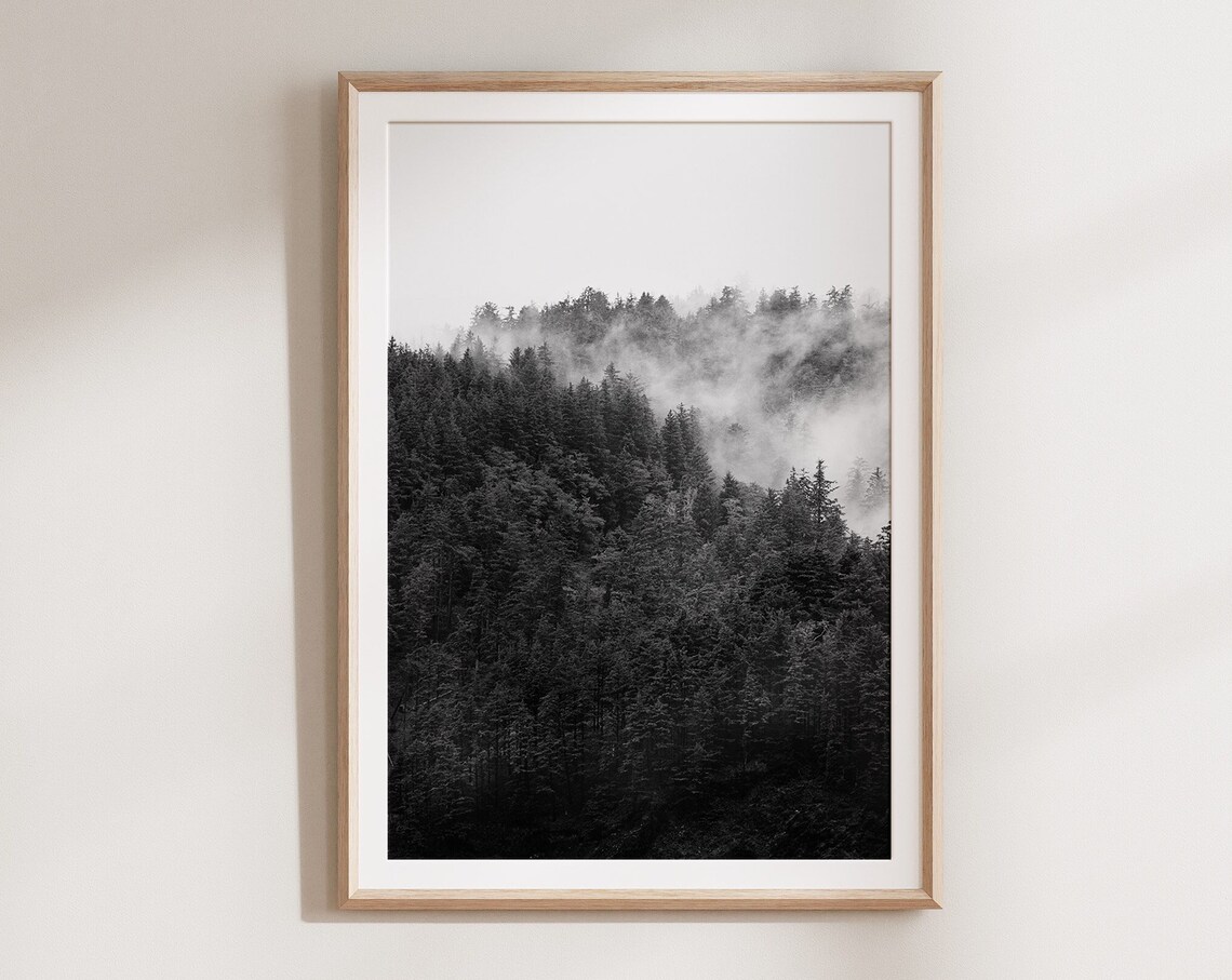 Black And White Misty Forest Photography Minimalist Nature Poster