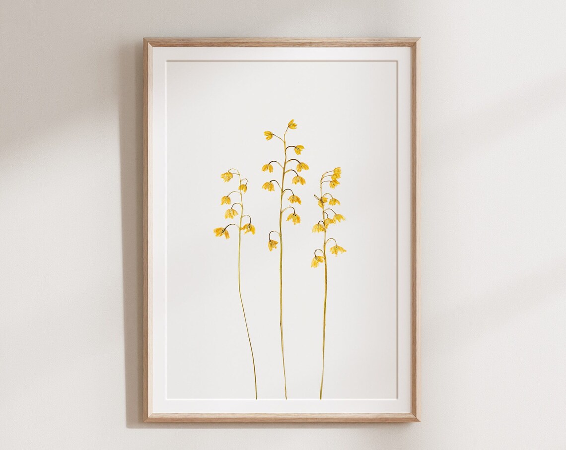 Yellow Pressed Flower, Rustic Botanical Art Print