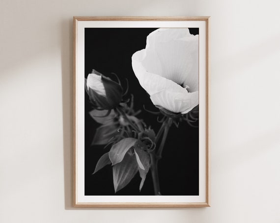 Black and White Flower Art Print, Floral Decor