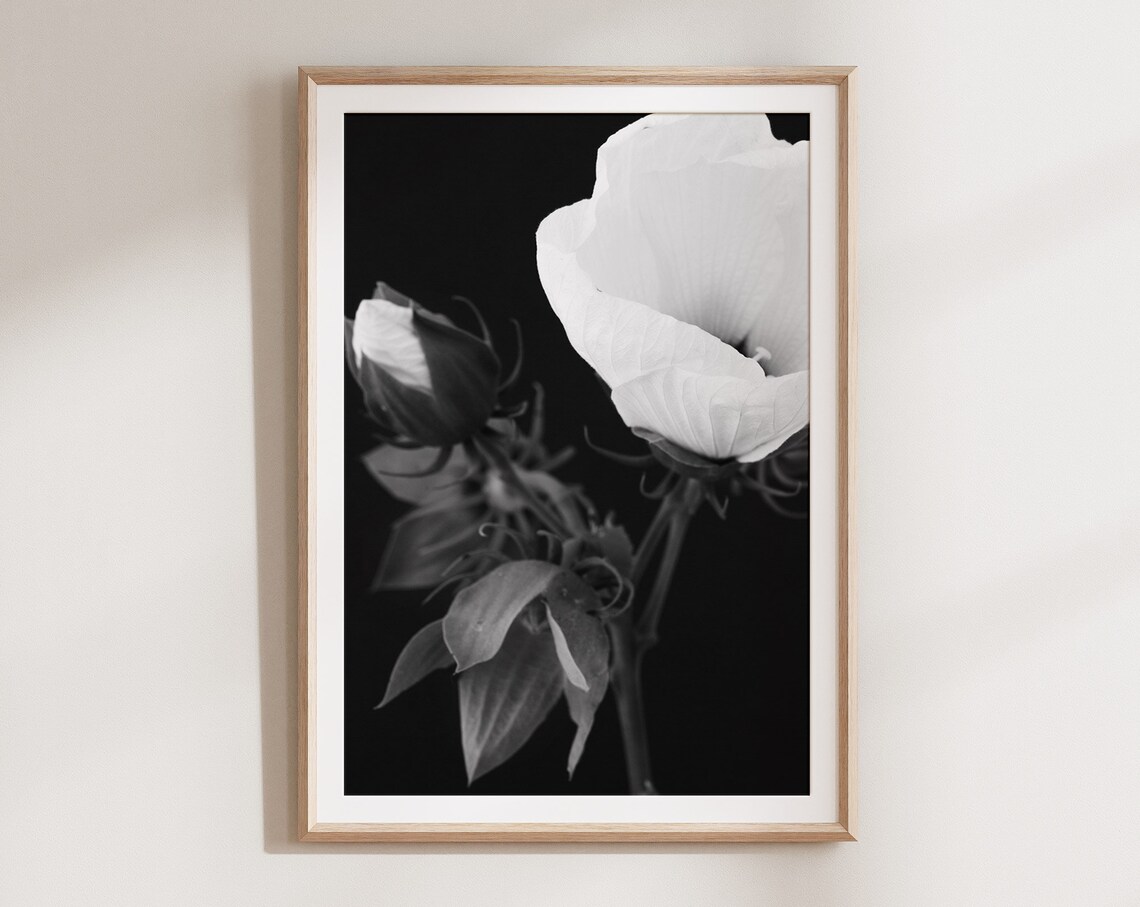 Black and White Flower Art Print, Floral Decor