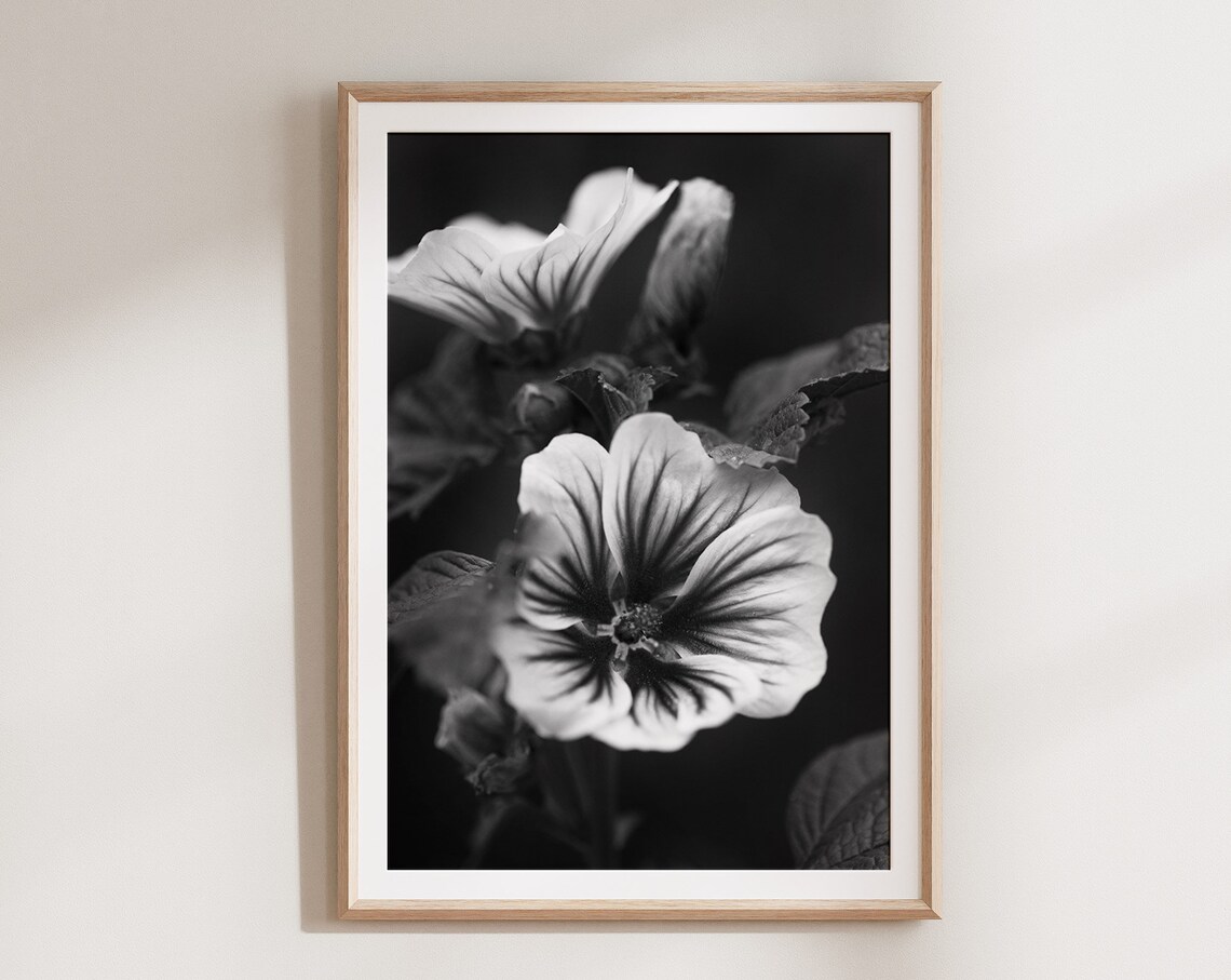 Black And White Hibiscus Macro Photography Floral Fine Art Poster