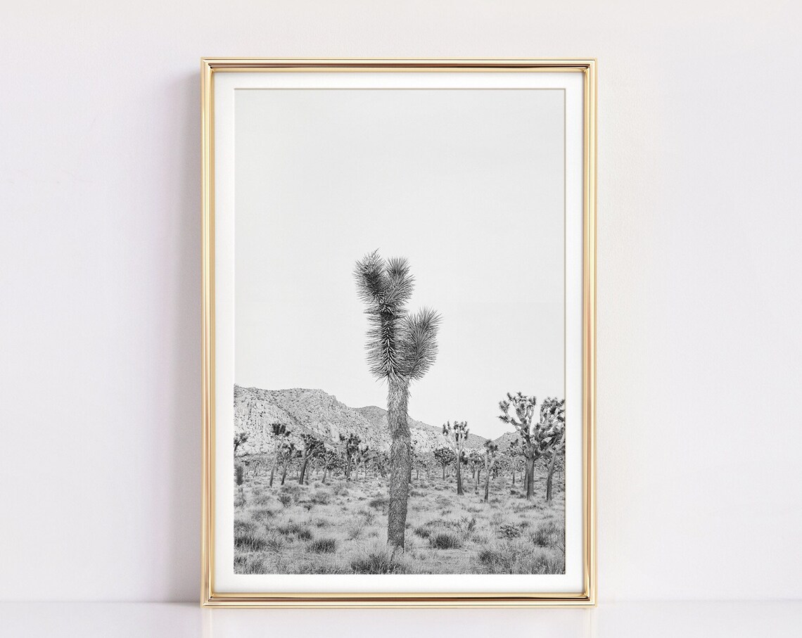 Joshua Tree Cactus Black and White Boho Art Print