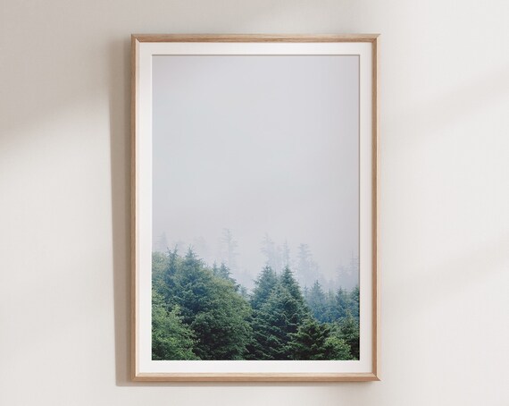 Forest Print Scandinavian Wall Art Nature Photography Modern Minimalist Landscape Print Wall Art Foggy Forest