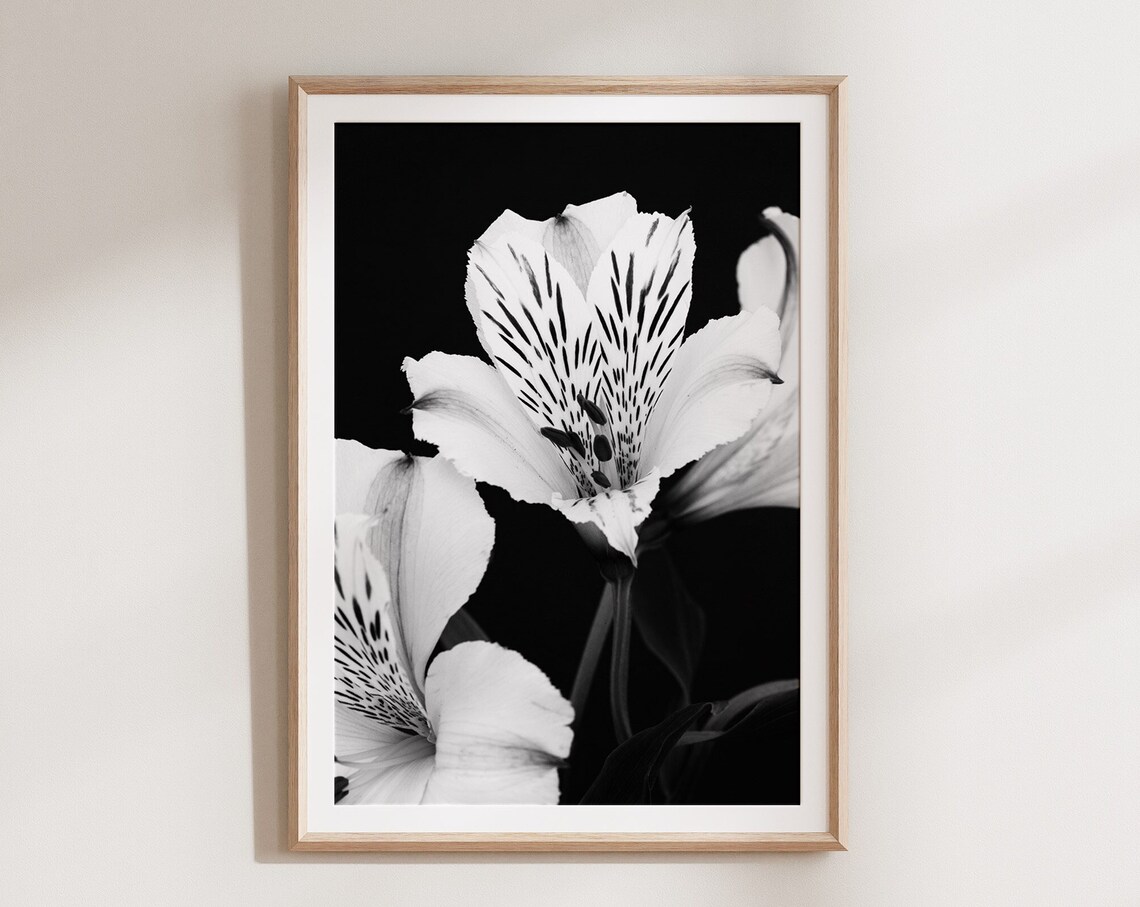 Black and White Botanical Floral Wall Art Print