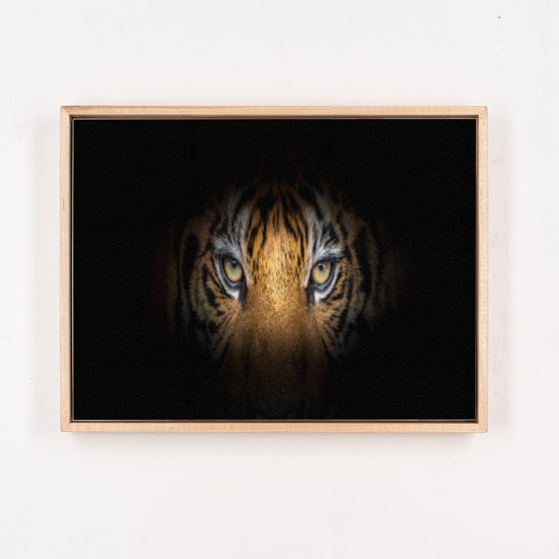 Tiger Eyes Emerging From Dark Dramatic Wildlife Portrait Poster - Image 4