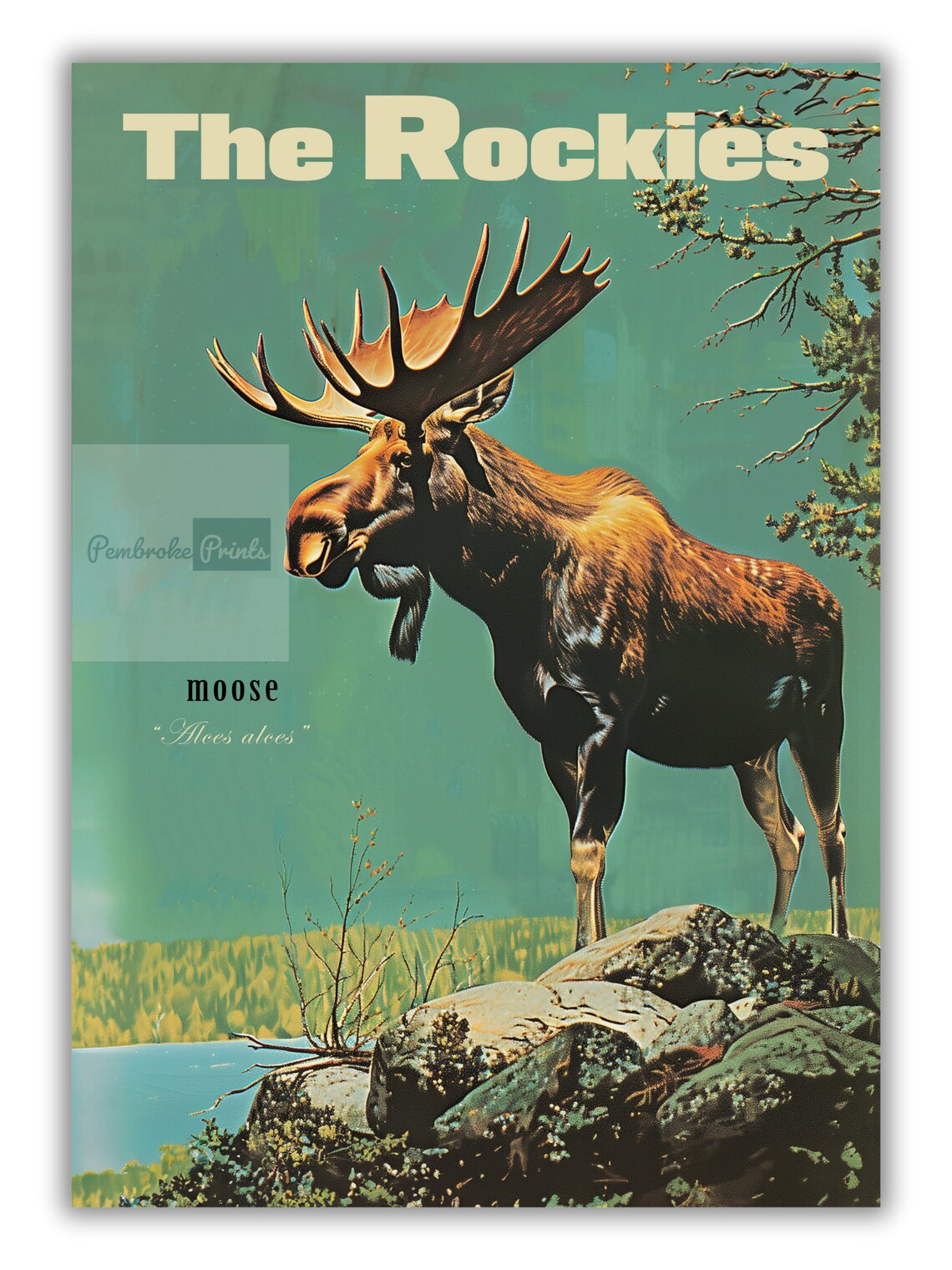 Vintage Moose Retro Hunting Poster, Rocky Mountains - Image 3