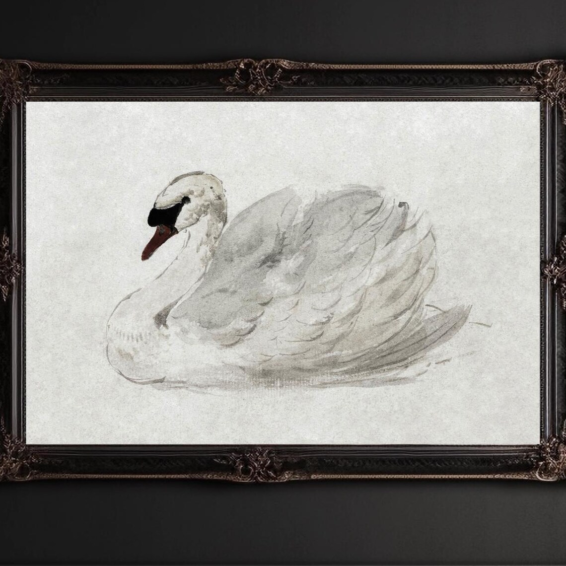 Elegant White Swan Watercolor Minimalist Wildlife Art Poster