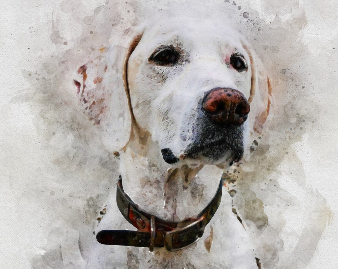 Personalised Pet Portrait Watercolour Portrait Print - Image 4