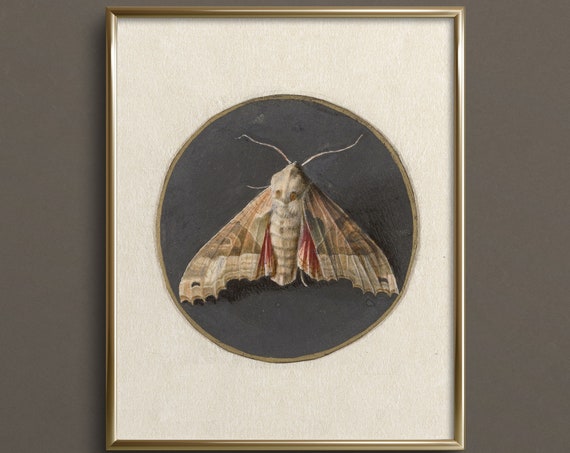 Vintage Moth Butterfly Art Neutral Wall Art Vintage Butterfly Art Prints Cottagecore Wall Art Da31