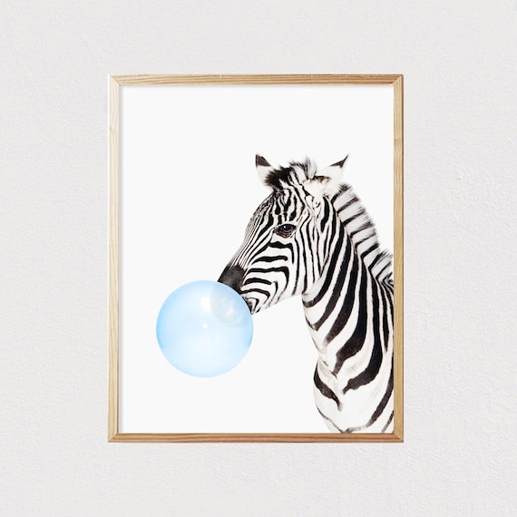 Zebra Blowing Blue Bubble Gum Funny Safari Animal Room Poster