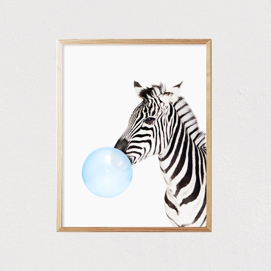 Zebra Blowing Blue Bubble Gum Funny Safari Animal Room Poster