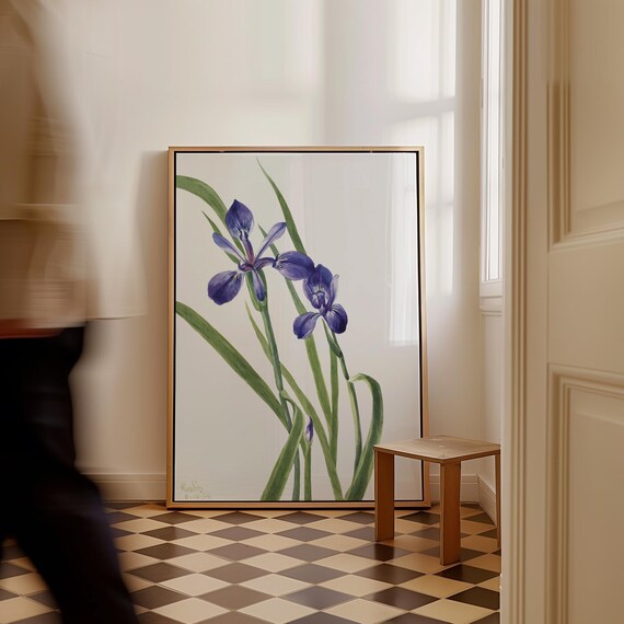 Vintage Blue Iris Watercolor Botanical Wildflower Floral Poster