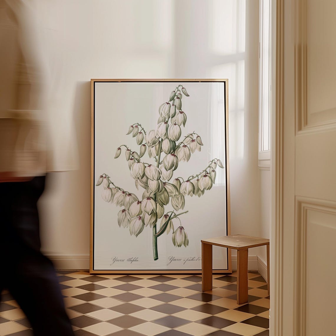 Vintage Yucca Botanical French Plant White Flowers Illustration Poster