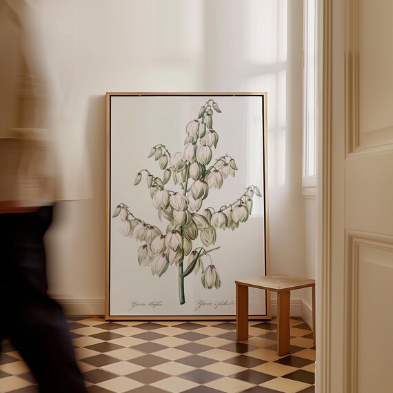 Vintage Yucca Botanical French Plant White Flowers Illustration Poster