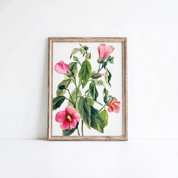 Rose Gentian Flower Art Print Vintage Botanical Wall Decor