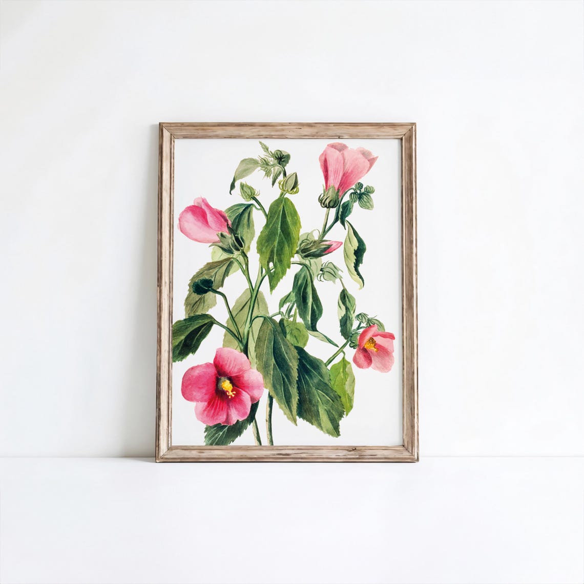 Rose Gentian Flower Art Print Vintage Botanical Wall Decor