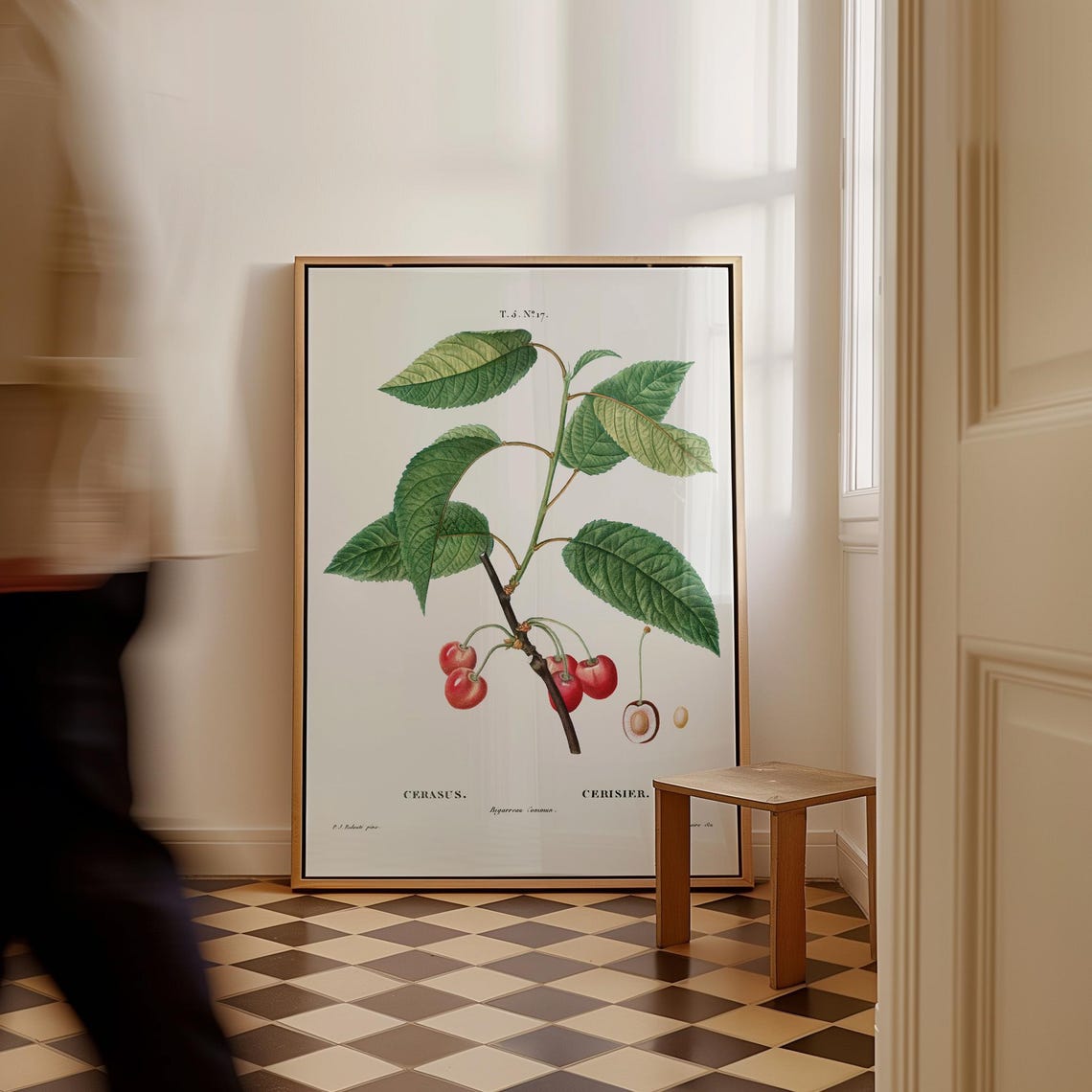 Cherry Branch Vintage Botanical Illustration Cerasus Fruit Art Poster