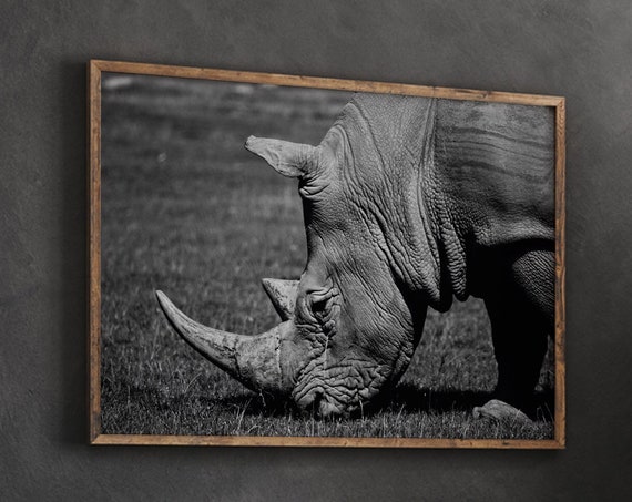 Rhino Art Print Wild Animal Poster African Modern Wall