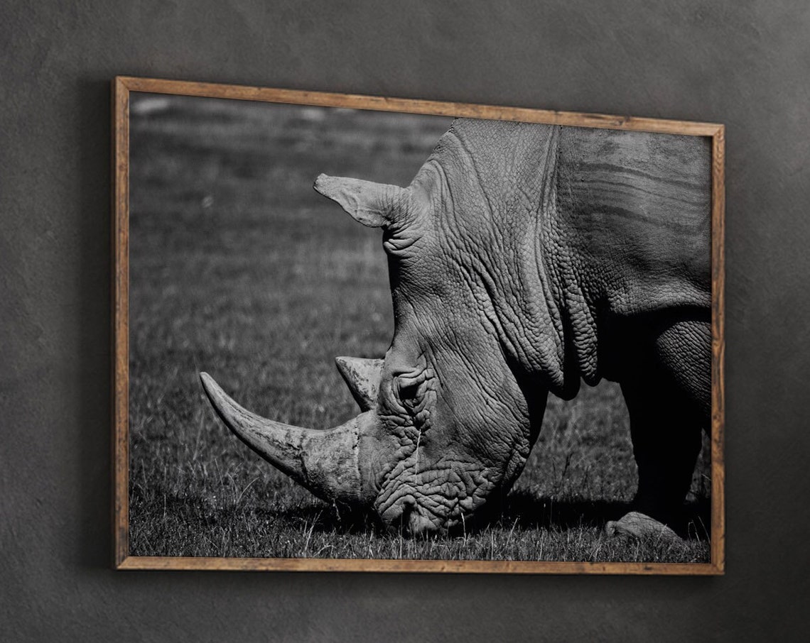 Rhino Head Black and White Wildlife Photography Dramatic Poster