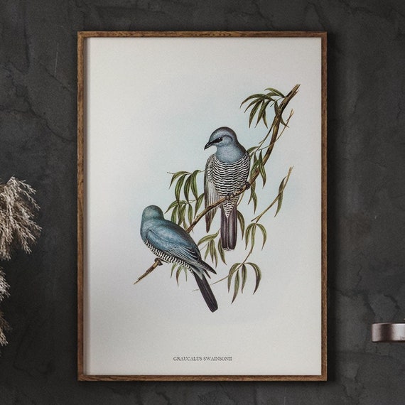 Antique Bird Spring Wall Decor Vintage Animal Art Farmhouse Nursery Animals Lover Living Room