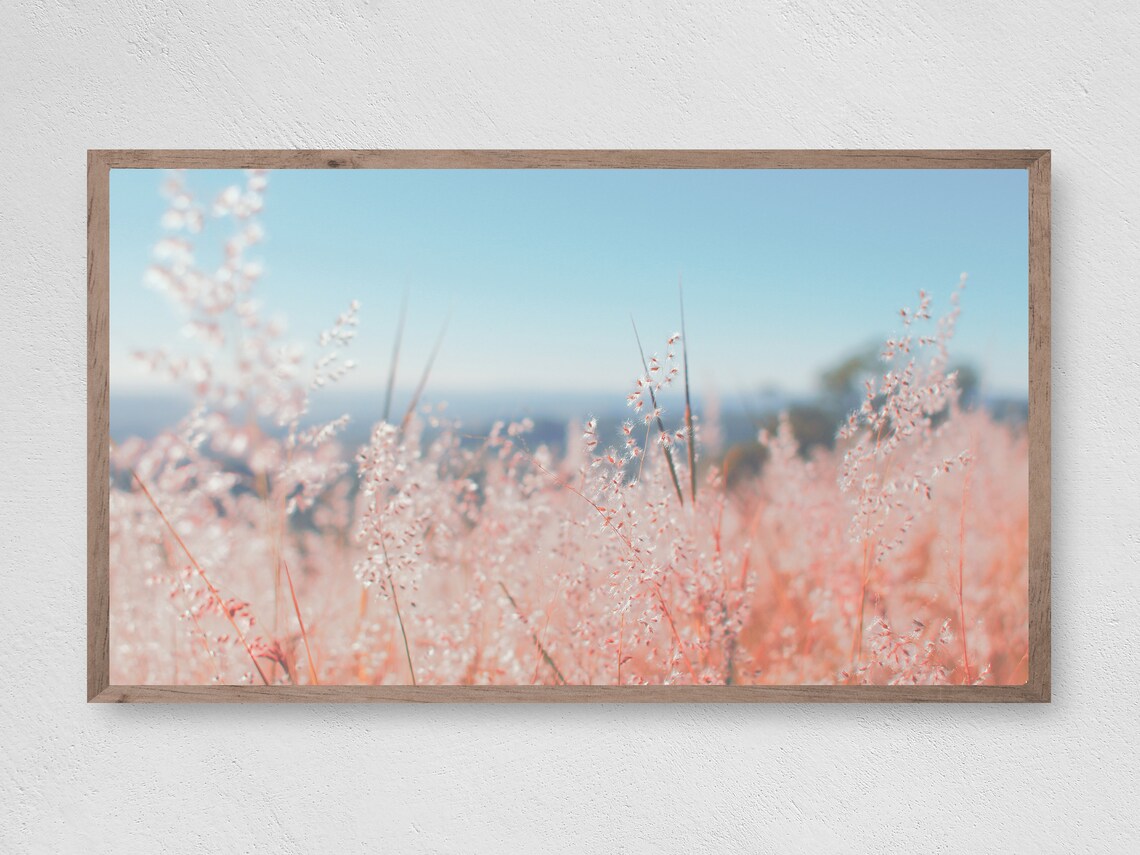 Blooming Field Abstract Modern Art Print