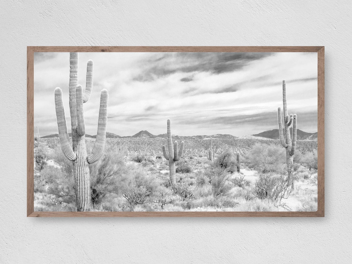 Cactus Field Art Print