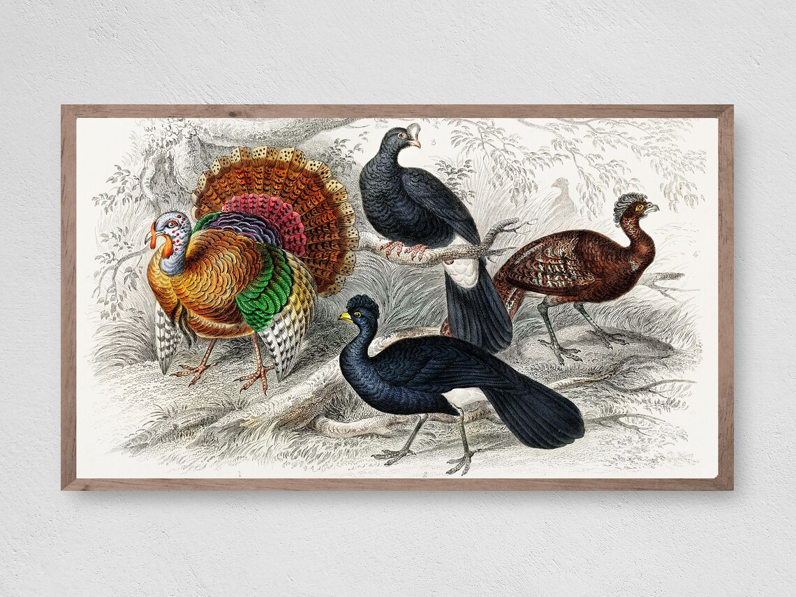 Vintage Thanksgiving Turkey Group Art Print