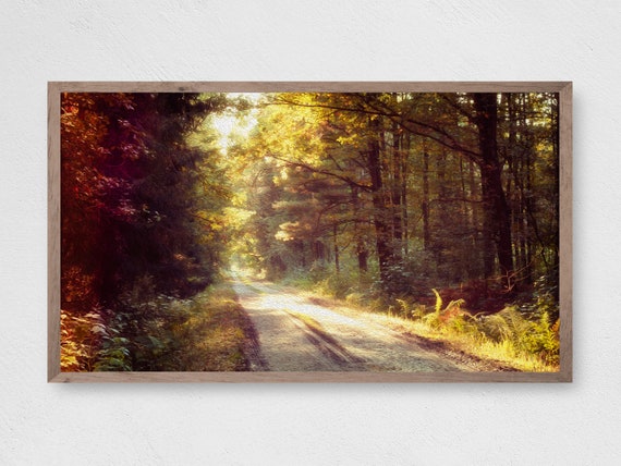 Forest Road Nature Landscape Art Print