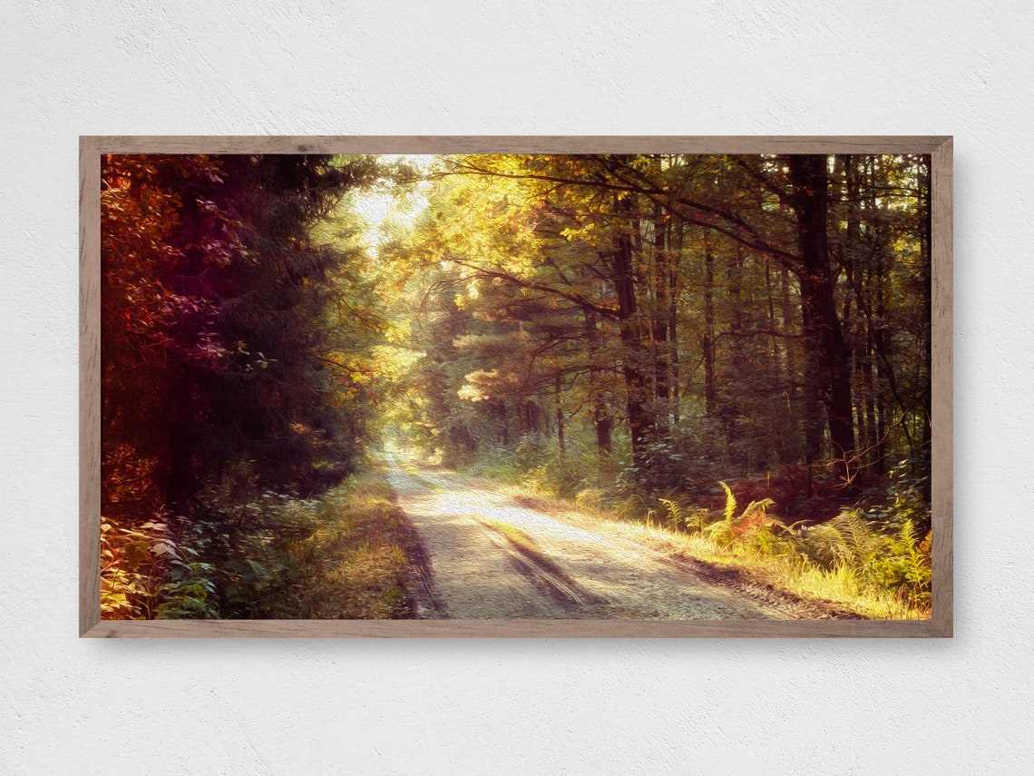 Forest Road Nature Landscape Art Print