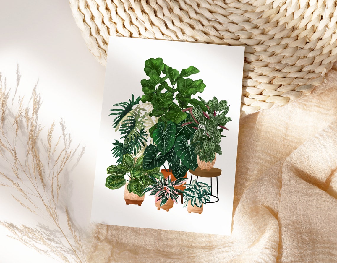 Houseplant Collection Poster Fiddle Leaf Monstera Calathea Decor