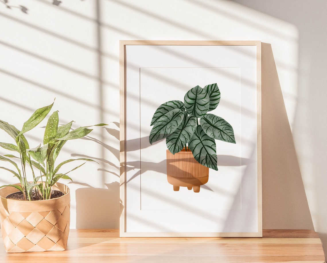 Alocasia Silver Dragon in a Terracotta Ribbed Pot Minimal Poster