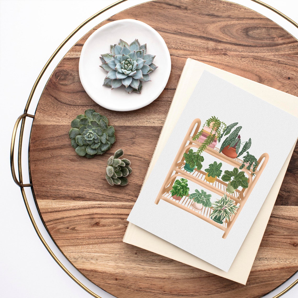Indoor Plants On A Wooden Rattan Shelf Botanical Illustration Poster - Image 3