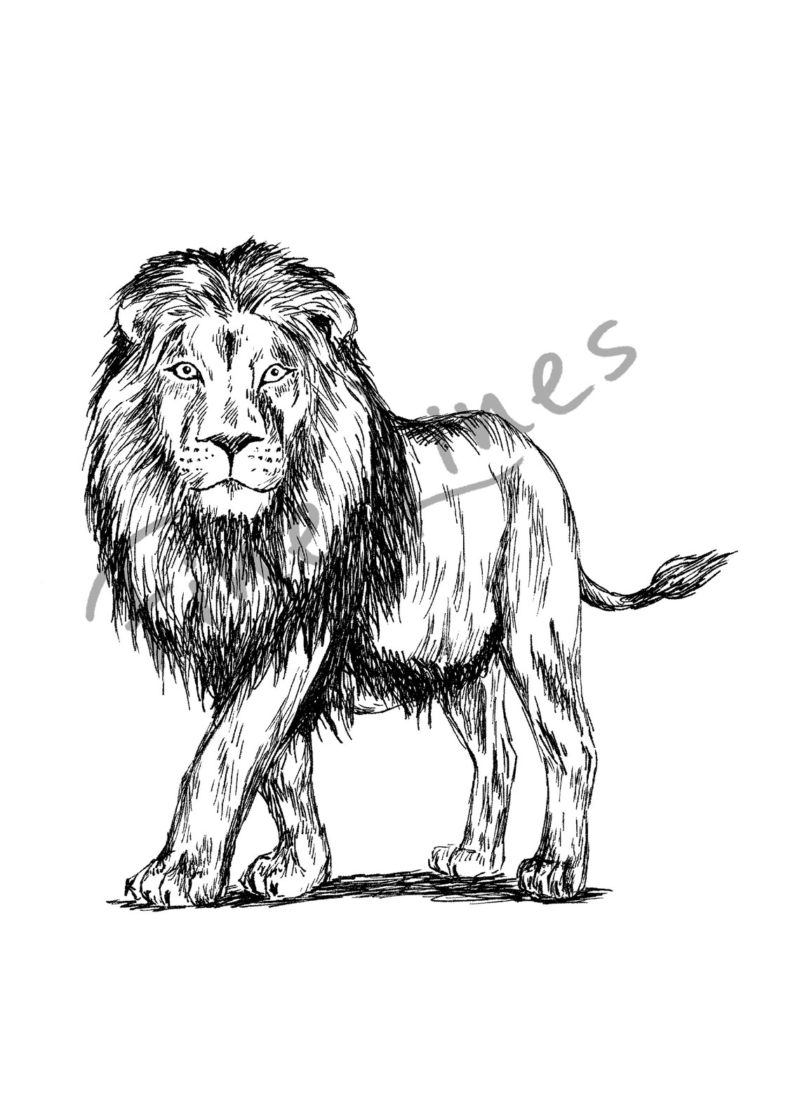 Lion Nursery Art Print, Woodland Animal Decor - Image 3