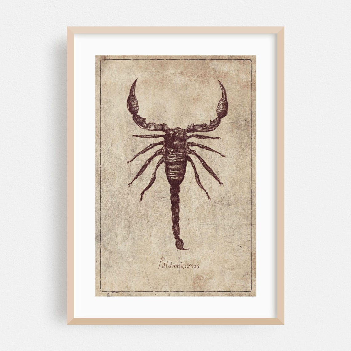 Vintage Print Insect Wall Art Illustration Framed Rustic Home Decor Drawing Poster Palamnaersus Fine