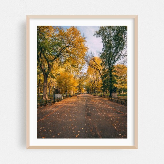 Autumn Park Pathway With Golden Trees New York City Photo Poster