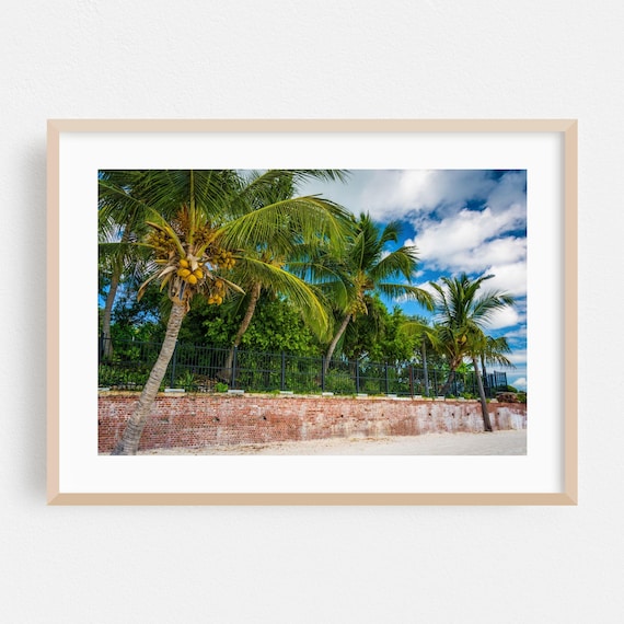 Key West Palm Trees Brick Wall Beach Tropical Photography Print