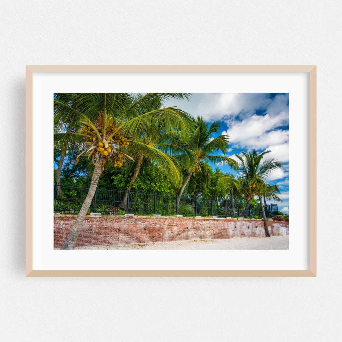 Key West Palm Trees Brick Wall Beach Tropical Photography Print
